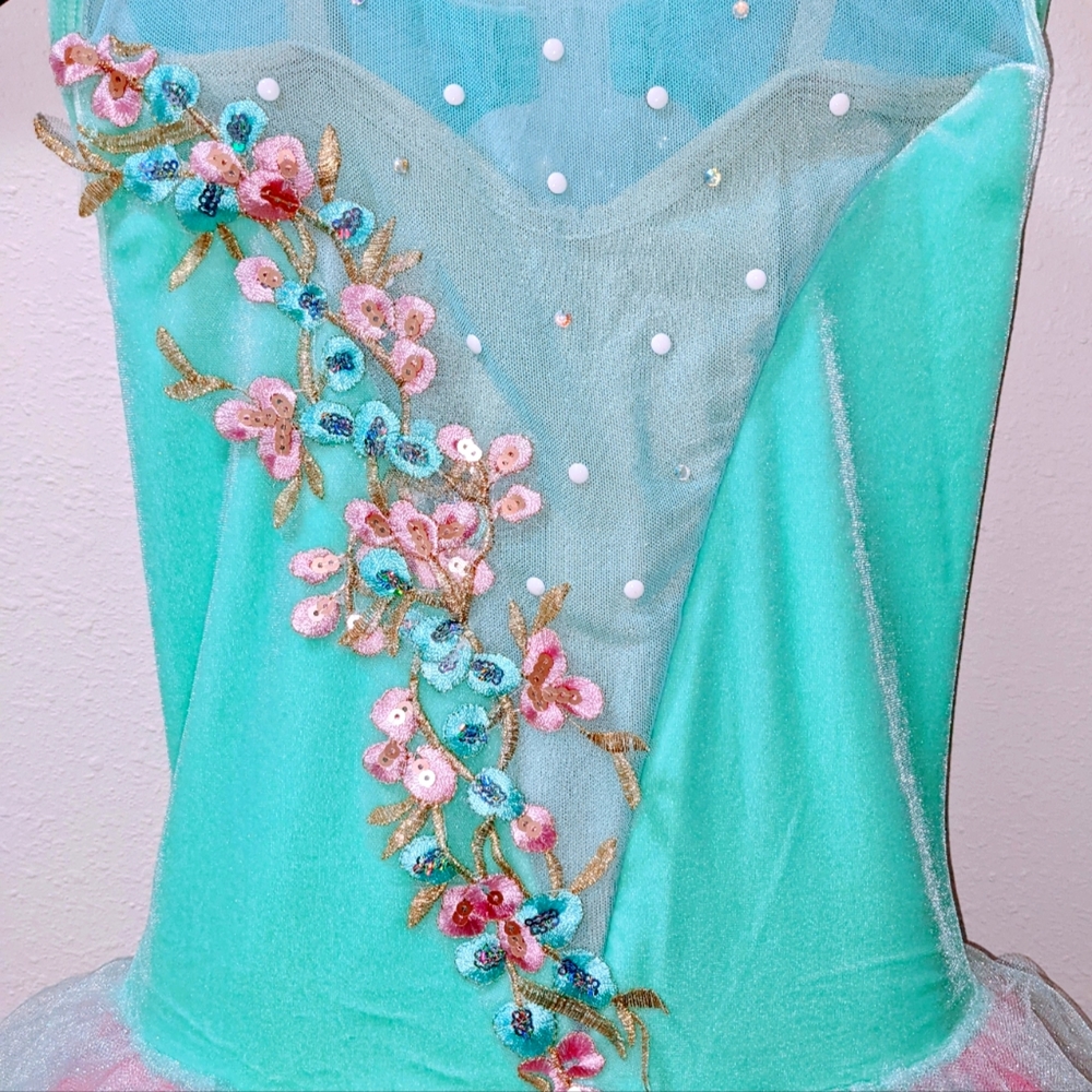 Dance Costume- Brand New Unworn by Curtain Call